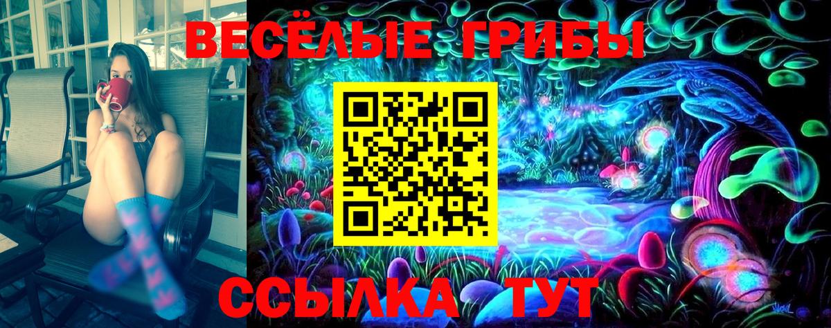 Псилоцибиновые грибы Cubensis  где купить   Гусев  Вход с VPN  Псилоцибиновые грибы мицелий 