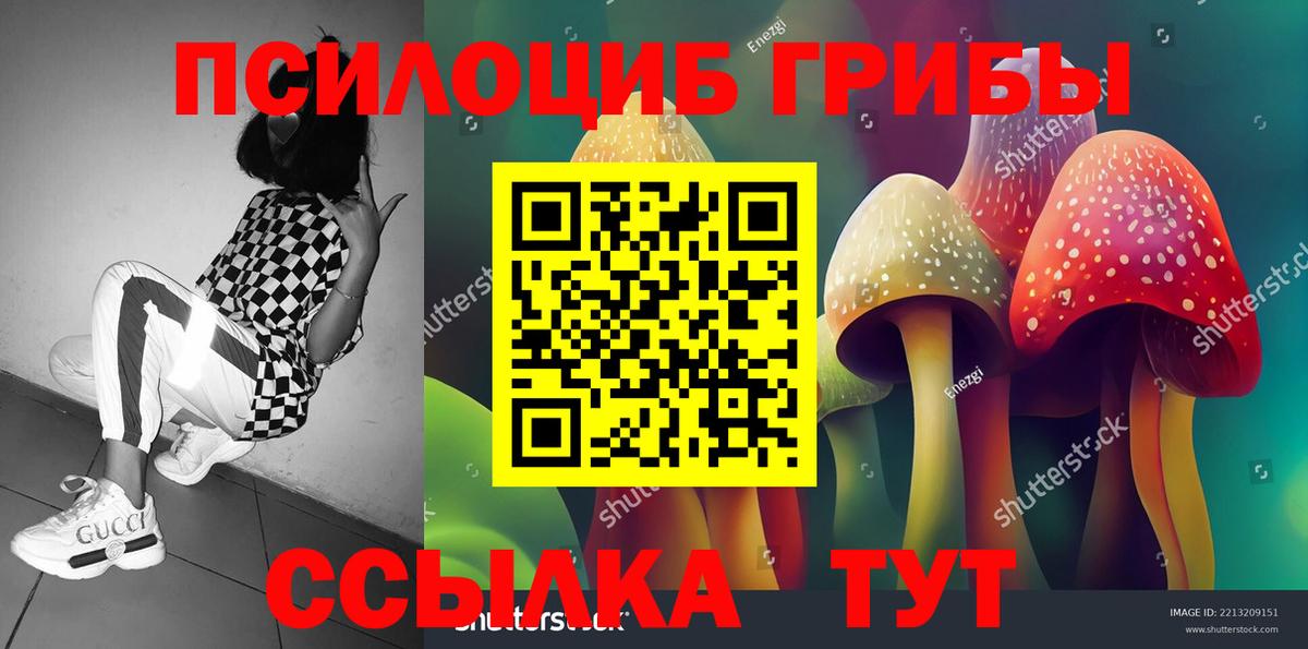 Галлюциногенные грибы MAGIC MUSHROOMS Гусев